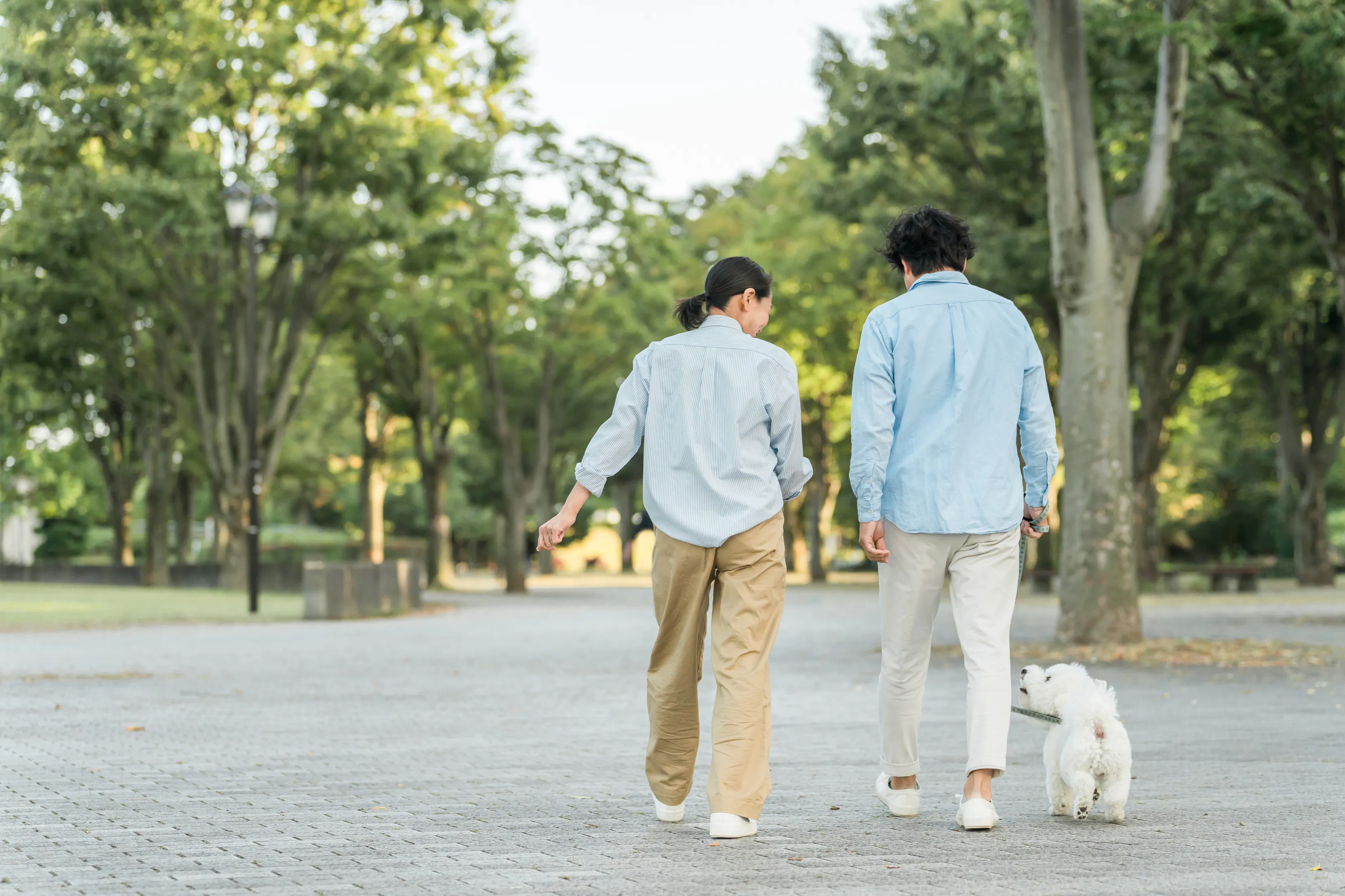 DINKsの婚活は厳しい?【子供は欲しくないけど結婚したい】